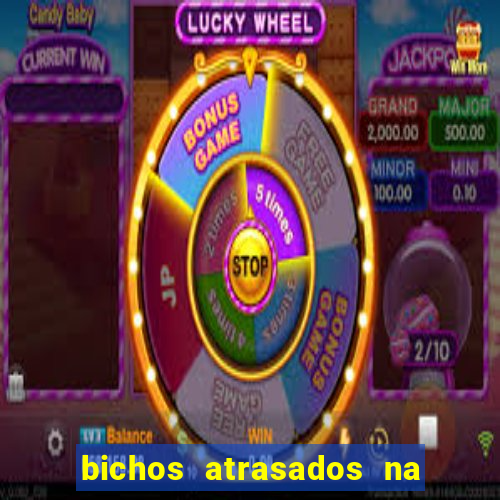 bichos atrasados na loteria federal